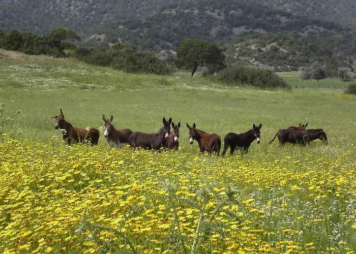 Nitovikla & Restaurant In A Cave An Authentic Local Experience ! 3*