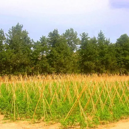 Гостевой дом Nitovikla & Restaurant In A Cave An Authentic Local Experience ! 3*