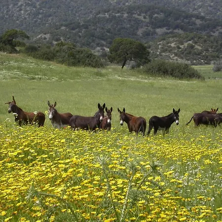 Nitovikla & Restaurant In A Cave An Authentic Local Experience ! 3*