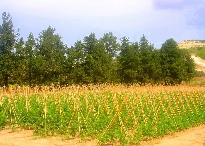 Penzion Nitovikla & Restaurant In A Cave An Authentic Local Experience ! 3*